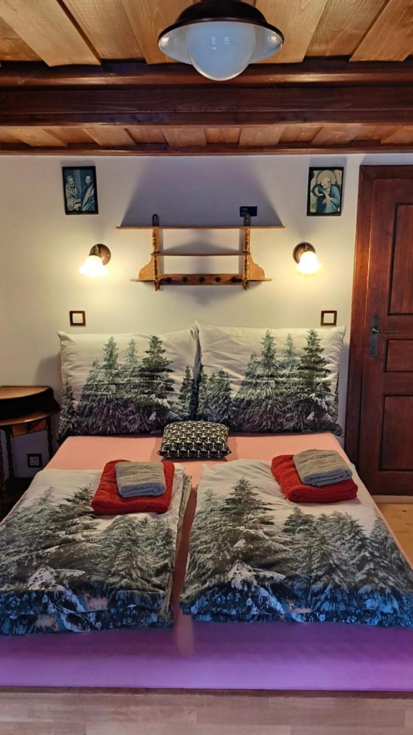 Penzion Pod Zeleznym Vrchem Chřibská Extérieur photo